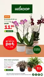 Welkoop folder week 38 Pagina 1