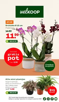 Welkoop (geldig t/m 20-09)