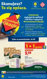 Lidl gazetka Strona 10