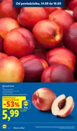 Lidl gazetka Strona 14: Nektarynki luzem €5,99