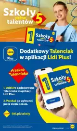 Lidl gazetka Strona 21