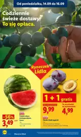 Lidl gazetka Strona 28: Polskie arbuzy drobnopestkowe luzem Ryneczek Lidla €3,49