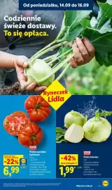 Lidl gazetka Strona 29: Polskie pomidory karbowane Ryneczek Lidla €6,99, Polska kalarepa Ryneczek Lidla €1,99