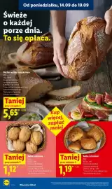 Lidl gazetka Strona 34