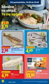 Lidl gazetka Strona 44