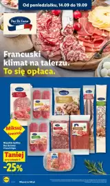 Lidl gazetka Strona 48