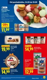 Lidl gazetka Strona 49