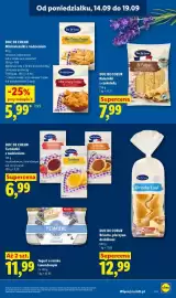 Lidl gazetka Strona 51