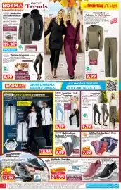 Norma Prospekt woche 39 Seite 2: Vollfrottee-Socken Cool & Young €7,99, Toptex Multicolour-Socken €8,99