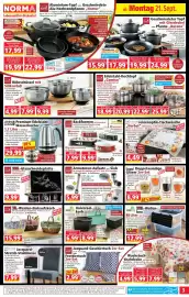 Norma Prospekt woche 39 Seite 3: Casa Royale XL-Weiden-Einkaufskorb €15,99, Bella casa Jacquard-Stretch-Stuhlhüse €7,99