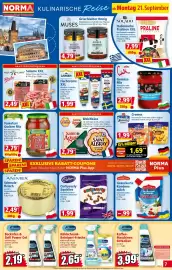 Norma Prospekt woche 39 Seite 7: Dr. Beckmann Backofen & Grill Power Gel €2,19, Saint Agur Weichkäse €2,79