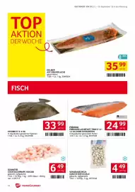 Transgourmet Flugblatt woche 39 Seite 12: Prerigor Lachsfilet Trim D €24,99, Steinbutt €33,99