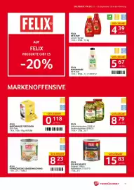 Transgourmet Flugblatt woche 39 Seite 15: Felix Französische Gemüsemischung €8,23, Felix Sandwich Gurken €8,79