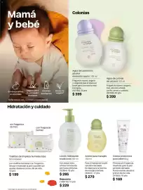 Catálogo Natura Página 164