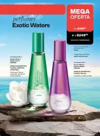 Catálogo Avon Página 167