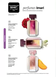 Catálogo Avon Página 62
