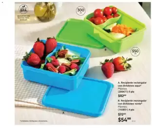 Catálogo Avon Página 29