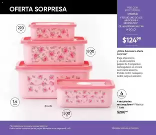 Catálogo Avon Página 47