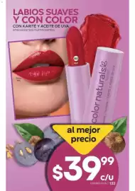 Catálogo Fuller Página 124