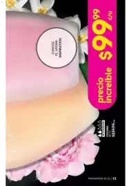 Catálogo Fuller Página 14