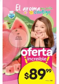 Catálogo Fuller Página 146