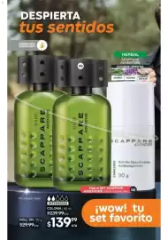 Catálogo Fuller Página 25