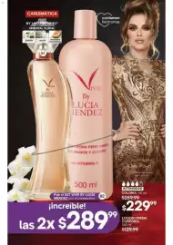 Catálogo Fuller Página 43