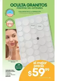 Catálogo Fuller Página 52