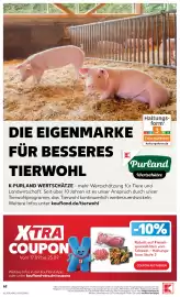 Kaufland DE folder week 38 Pagina 62