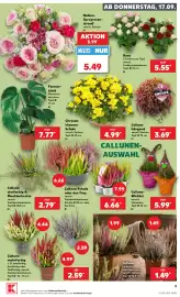 Kaufland DE folder week 38 Pagina 9