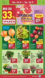 Aldi Nord Prospekt woche 39 Seite 27