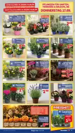 CENTERSHOP Prospekt woche 38 Seite 7