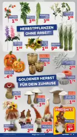 CENTERSHOP Prospekt woche 38 Seite 9