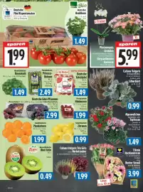 EDEKA Hahner Prospekt Seite 7