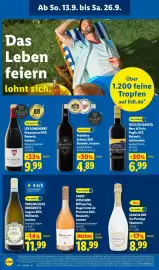 Lidl Prospekt Seite 56
