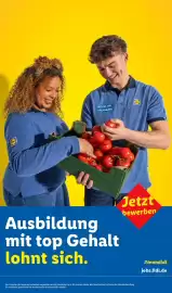 Lidl Prospekt Seite 31