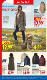 Lidl Prospekt Seite 39