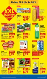 Lidl Prospekt Seite 19