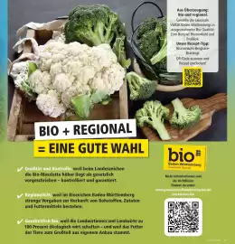 Marktkauf Prospekt Seite 17