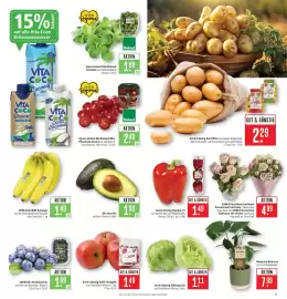 Marktkauf Prospekt Seite 5