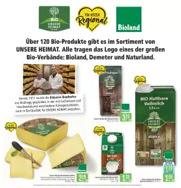 Marktkauf Prospekt Seite 7