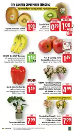E-Center Prospekt Seite 8