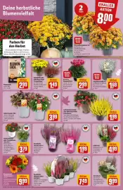 REWE Center Prospekt woche 38 Seite 5