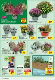 Toom Baumarkt Prospekt Seite 8