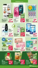 Wasgau Prospekt woche 38 Seite 23
