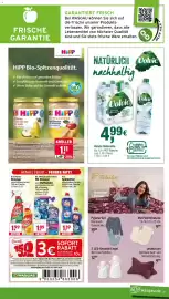 Wasgau Prospekt woche 38 Seite 25