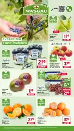 Wasgau Prospekt woche 38 Seite 8
