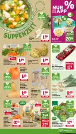 Wasgau Prospekt woche 38 Seite 9