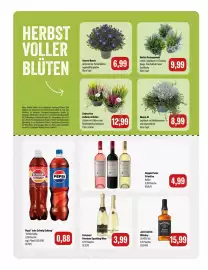 Feneberg Prospekt Seite 6