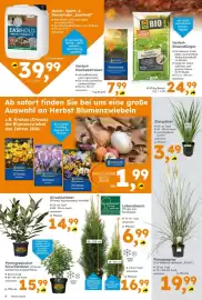 Globus Baumarkt Prospekt woche 38 Seite 4